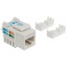 Jack Intellinet, Categoría 6, RJ-45, Plástico, Color Blanco
